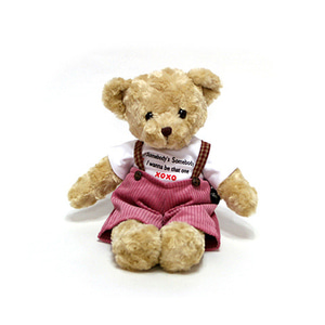 체크테디 브라운 남(55cm) 선물용 곰인형